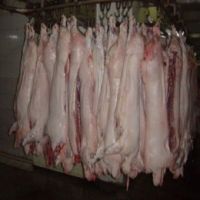 Frozen boneless rabbit meat
