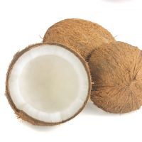 Export Quality Semi Husked Fresh Mature Coconut