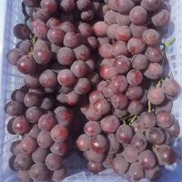 Farm Fresh Grapes