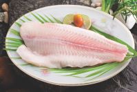 tilapia and pangasius