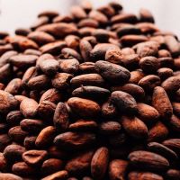 Cocoa Beans