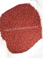 ANNATTO SEEDS - whatsapp no : +84903887753