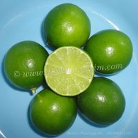 LIME SEEDLESS |Whatsapp No. +84 903 887 753