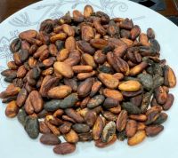 Cocoa Beans