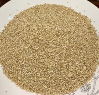 White Sesame Seeds