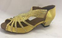 Wujie Shoes Ladies And Men Latin And Ballroom Dance Shoes .jazz