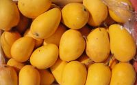 Fresh Mango