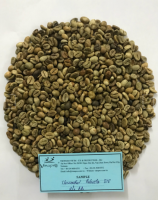 Unwashed Robusta Coffee Beans S16-S18