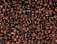 Wet-polished Robusta Coffee Beans S16