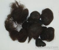 scattered group of human hair