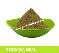 Sesbania Meal