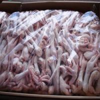 Best quality Grade A Frozen Chicken Paw