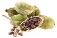 Natural Hot Selling Green Cardamom Bulk Suppliers 