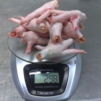 Bulk Suppliers Hala Grade A+ Frozen Chicken Feets|Wings