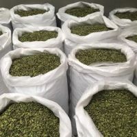 Top Selling High Quality Dried Large Green Cardamom bulk supplier