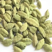 Top quality Dried green Cardamom bulk supplier