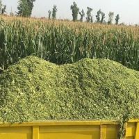 High quality silage bags corn animal feed yellow agriculture storage corn silage bag for cattle