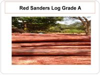 Red Sandalwood Red Sanders Sandal Wood Logs