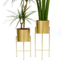 https://fr.tradekey.com/product_view/Black-And-Gold-Iron-Planters-9372437.html