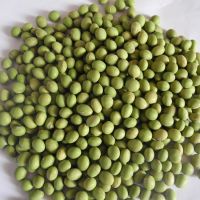 Mung bean,new crop 2019 with factory price