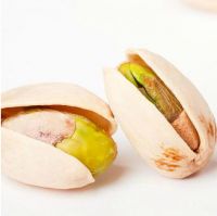 pistachio nut,pistachios