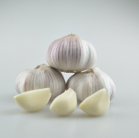 Fresh Garlic,new crop 2019 with factory price