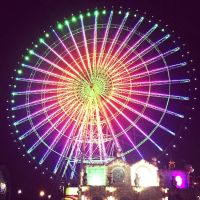 fun fair rides theme park amusement  ferris wheel, attraction big ferri