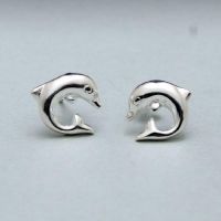 925 silver earrings