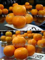 Peng Gan Orange