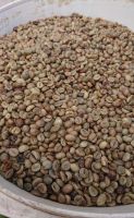 Robusta Gayo Natural