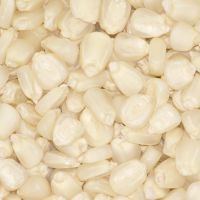 White Corn