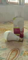 LED rechargeable Bulb