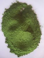 Chaya Tree Spinach Dried Leaf Powder