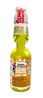 Golden Turmeric  Genki (HEALTHY) Ramune Soda