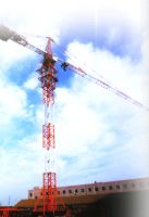 Sell QTZ Tower Crane