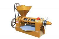 Screw Oil Press Machine