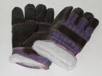 Winter Glove (DH545)