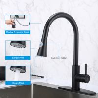 Hot Sale Kitchen Faucet With Pull Down Sprayer