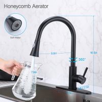 Hot Sale Kitchen Faucet With Pull Down Sprayer