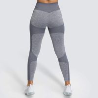 YOGA PANTS FOR WOMEN FITNESS MESH WORKOUT LEGGING