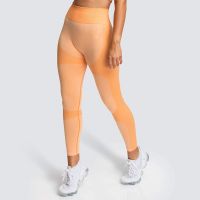 Yoga Pants For Women Fitness Mesh Workout Legging
