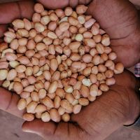 Sudanese Peanuts