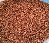 Sudanese Red Sesame Seeds
