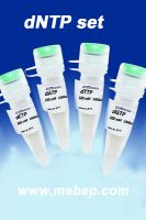 dNTP ste--High purity , High quality low price!looking for distributor!