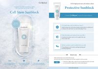 Cellpia Sunblock Human Stem Cell culture Medium Solution 60g SPF 50+ PA++++