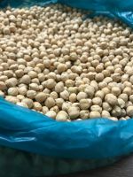 Chickpeas 8+ (Sortex)