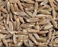 Cumin Seeds