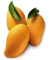 Fresh Mangoes