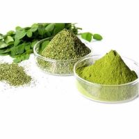 Moringa leaf powder 