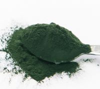 Spirulina powder